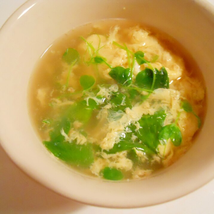 セロリの葉と豆苗 オオバコ入れてコンソメ卵スープ レシピ 作り方 By ブ 子 楽天レシピ セロリの葉と豆苗 オオバコ入れてコンソメ卵スープ レシピ 作り方 By ブ 子 楽天レシピ